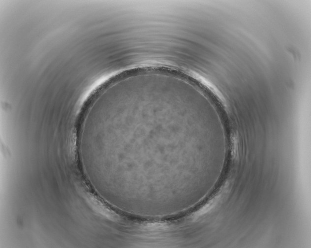 X0000091351021200708101526