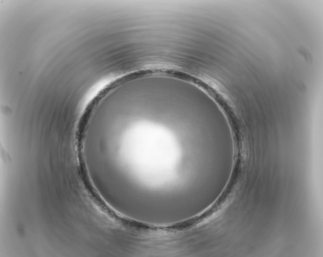 X0000091351022200708101526