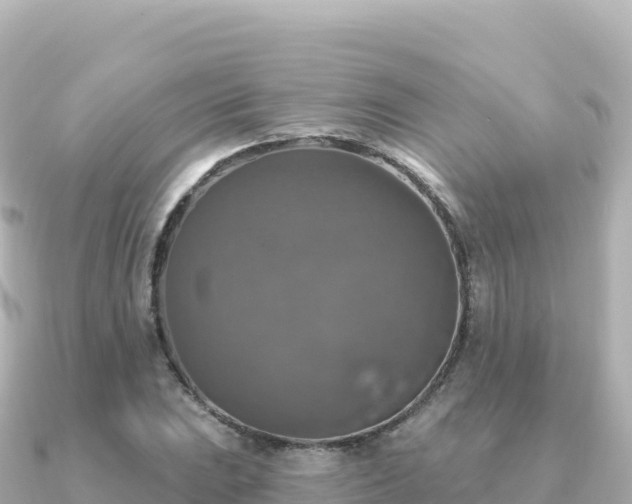X0000091351023200708101526