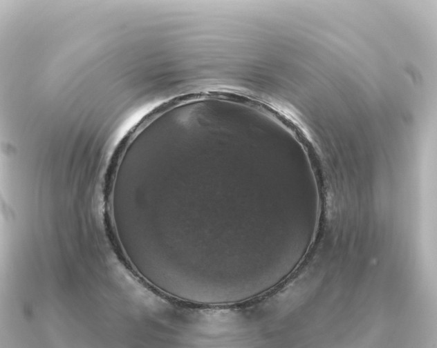 X0000091351024200708101526