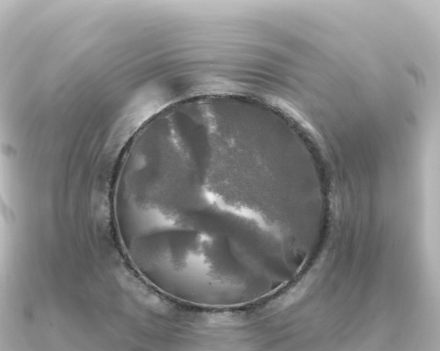 X0000091351025200708101526