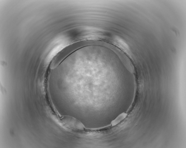 X0000091351026200708101526