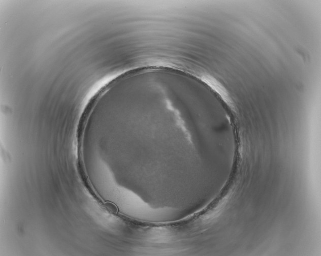 X0000091351028200708101526
