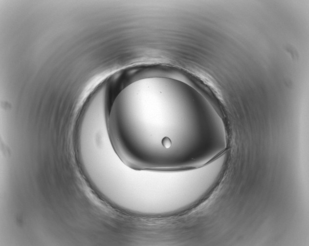 X0000091351030200708101526
