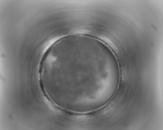 X0000091351031200708101526