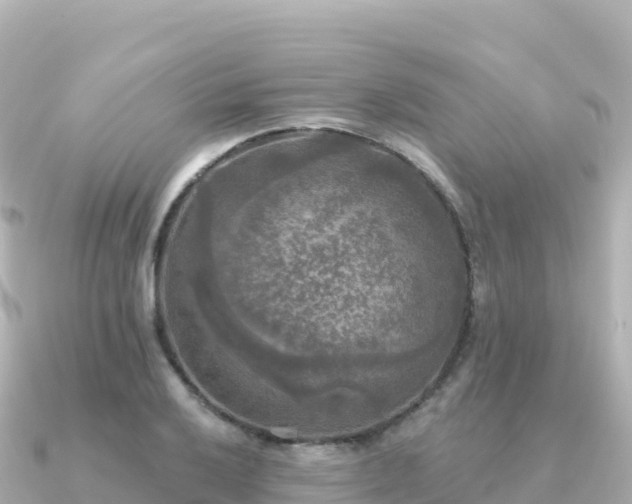 X0000091351032200708101526
