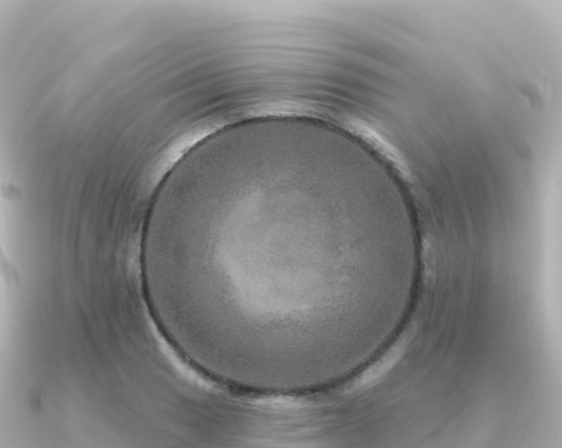 X0000091351033200708101526