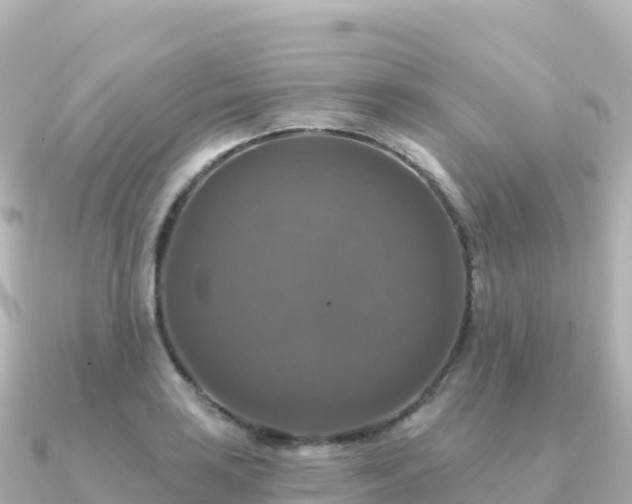 X0000091351035200708101526