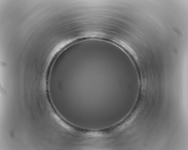 X0000091351037200708101526