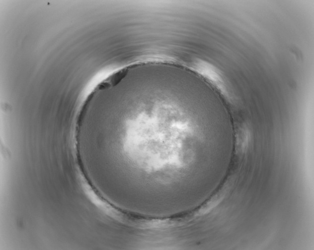 X0000091351038200708101526