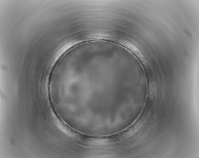 X0000091351039200708101526
