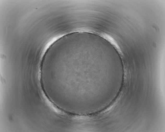 X0000091351040200708101526