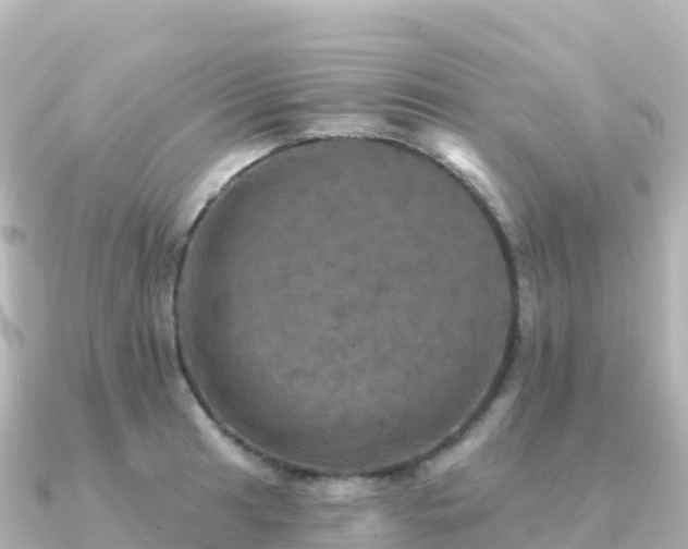 X0000091351041200708101526
