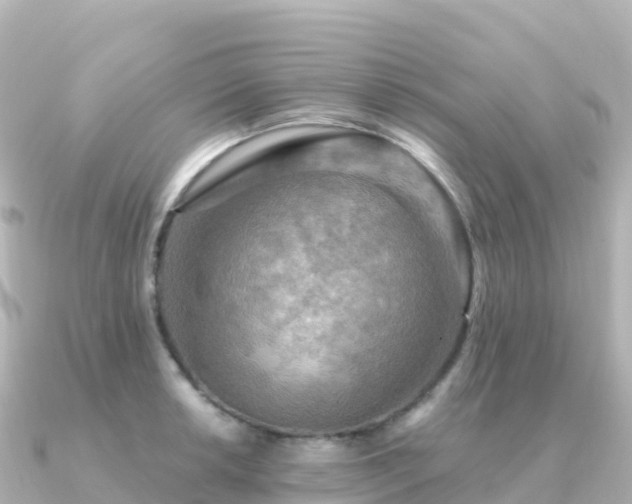 X0000091351042200708101526