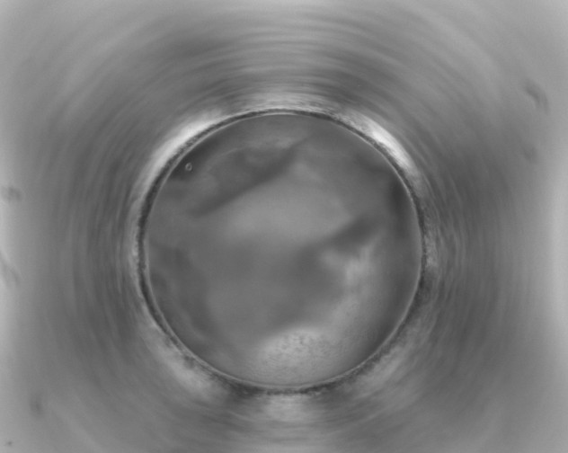 X0000091351043200708101526