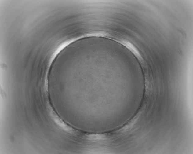 X0000091351044200708101526