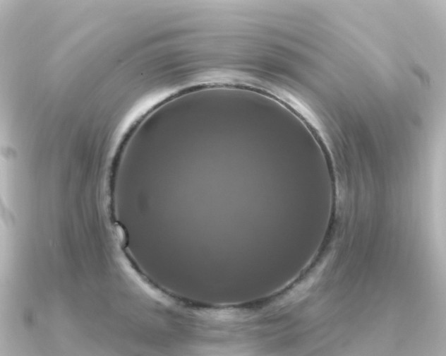 X0000091351045200708101526