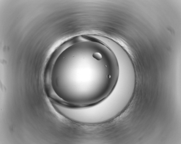 X0000091351046200708101526