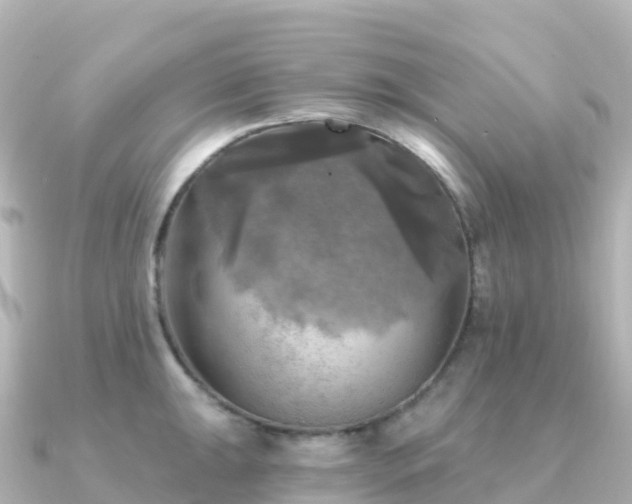 X0000091351047200708101526