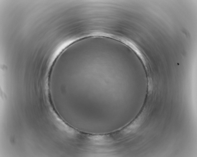 X0000091351048200708101526