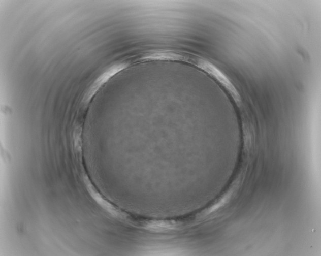 X0000091351049200708101526