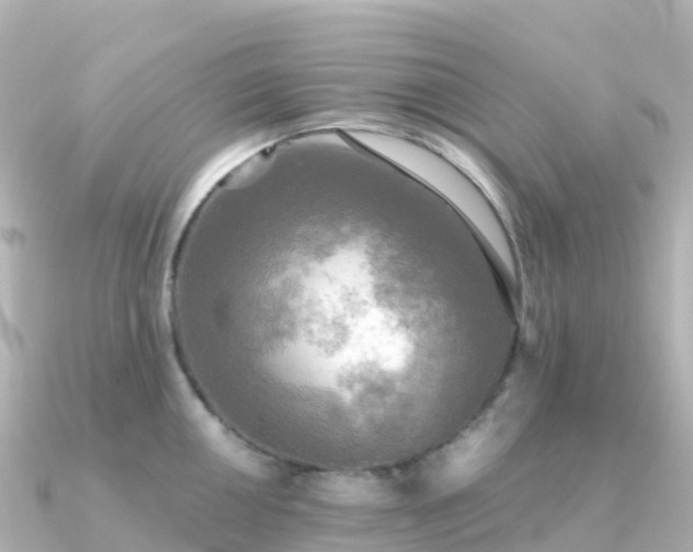 X0000091351050200708101526