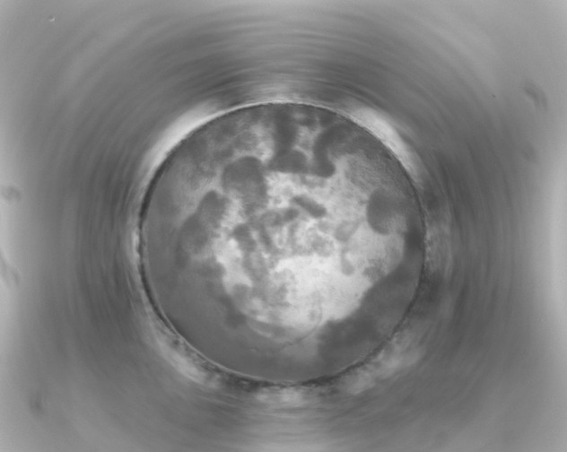 X0000091351051200708101526