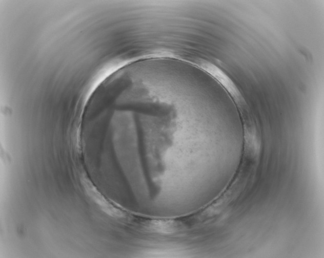 X0000091351052200708101526