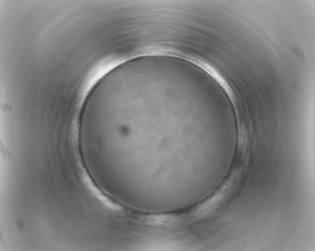 X0000091351053200708101526