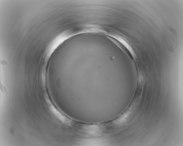 X0000091351054200708101526