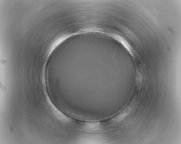 X0000091351055200708101526