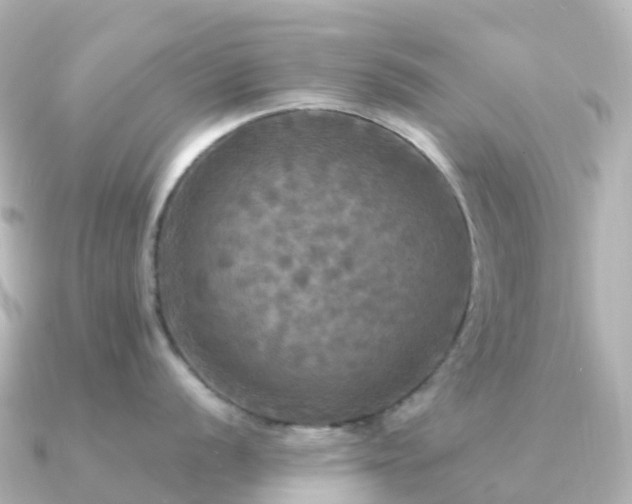 X0000091351056200708101526