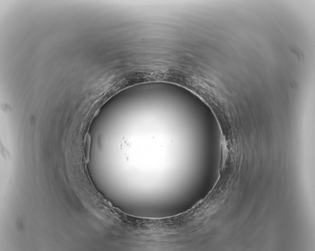 X0000091351057200708101526