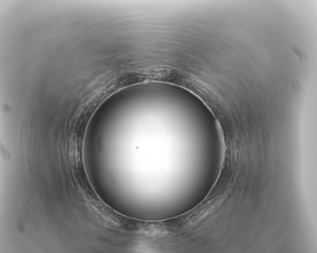 X0000091351058200708101526