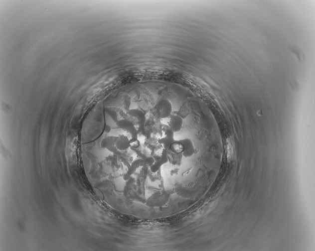 X0000091351059200708101526