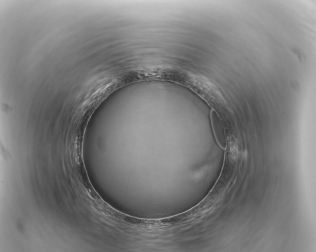 X0000091351060200708101526