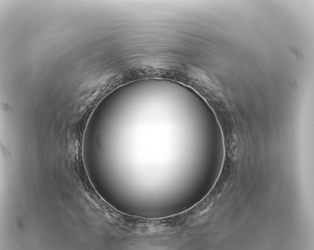 X0000091351061200708101525
