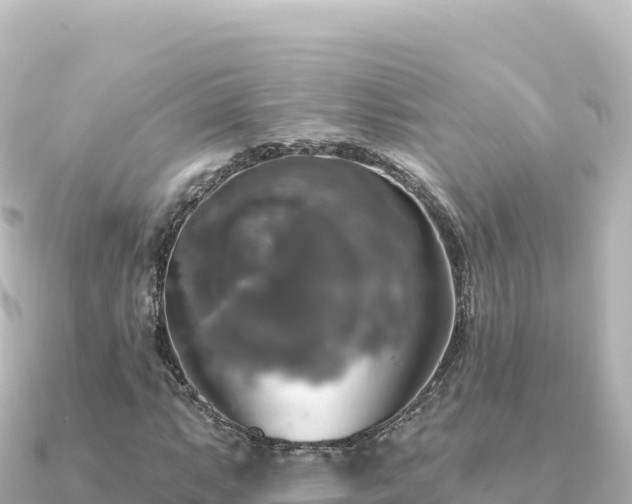 X0000091351063200708101525