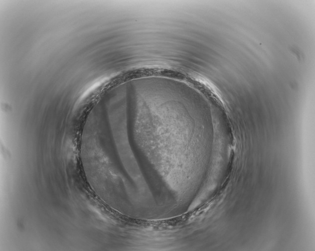 X0000091351064200708101525