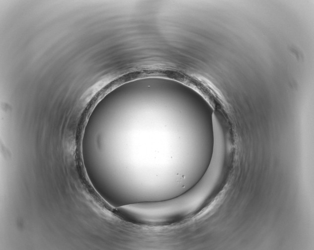 X0000091351065200708101525