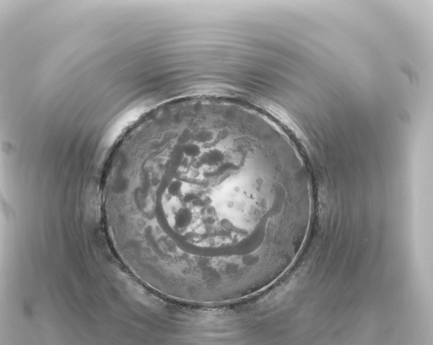 X0000091351067200708101525