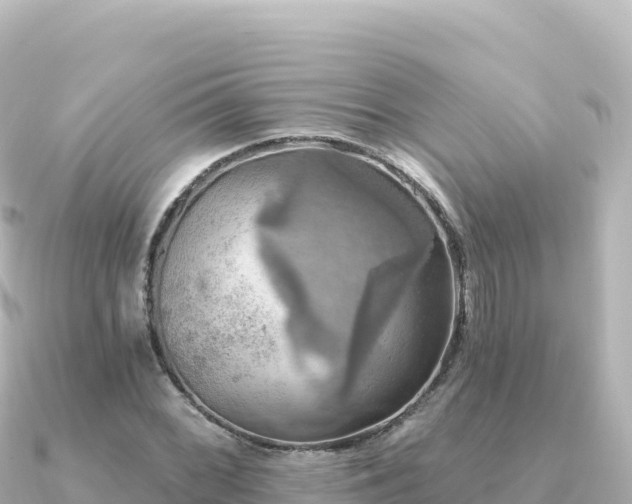 X0000091351068200708101525