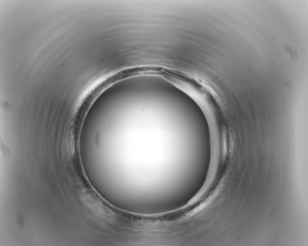 X0000091351069200708101525