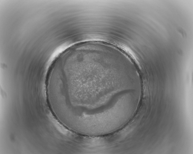 X0000091351072200708101525