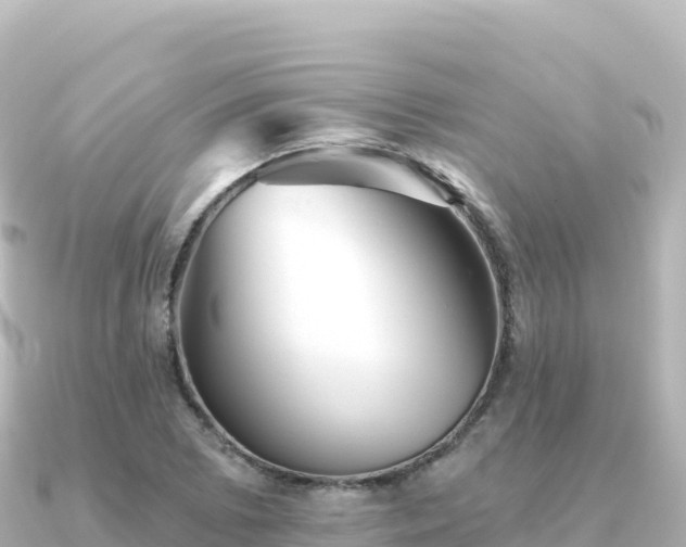 X0000091351073200708101525
