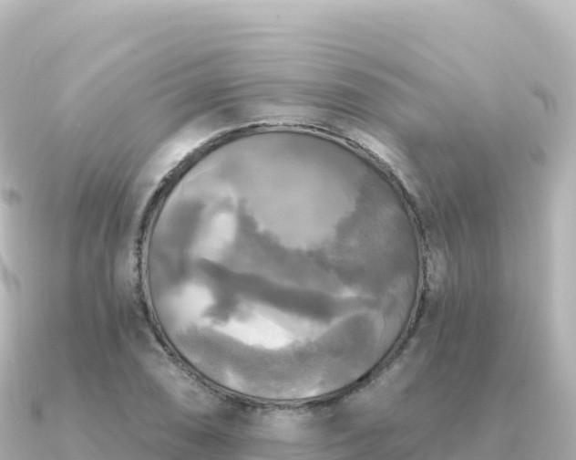 X0000091351074200708101525