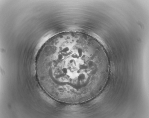 X0000091351075200708101525