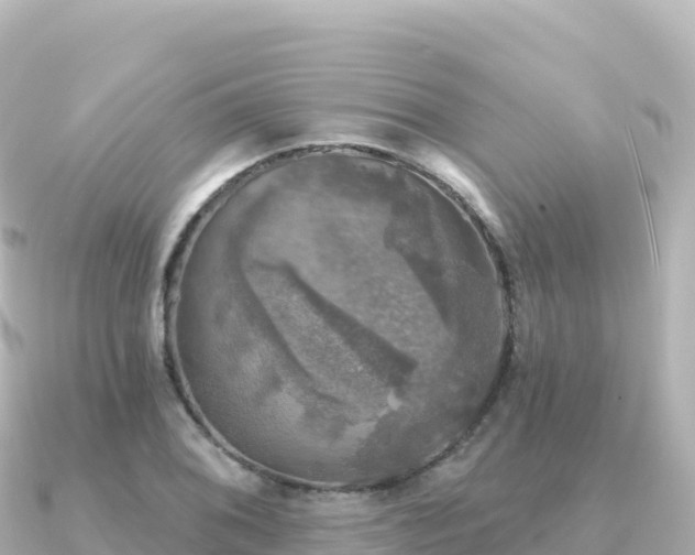 X0000091351076200708101525