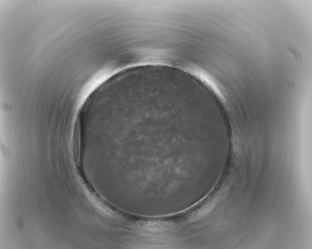 X0000091351077200708101525