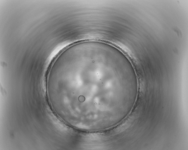 X0000091351078200708101525